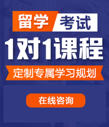 不遮不铛日必视频留学考试一对一精品课